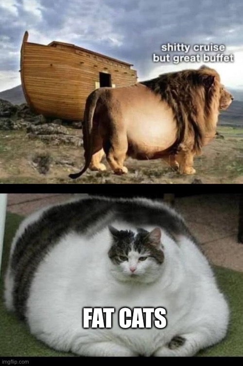 FAT CATS | image tagged in fat cat 2,noah's ark,lion,fat cat,big cat | made w/ Imgflip meme maker