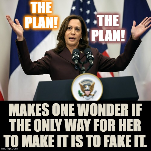Kamala Harris' Horrible Fake French Accent | THE PLAN! THE PLAN! MAKES ONE WONDER IF THE ONLY WAY FOR HER TO MAKE IT IS TO FAKE IT. | image tagged in memes,politics,kamala harris,make it stop,fake,french | made w/ Imgflip meme maker