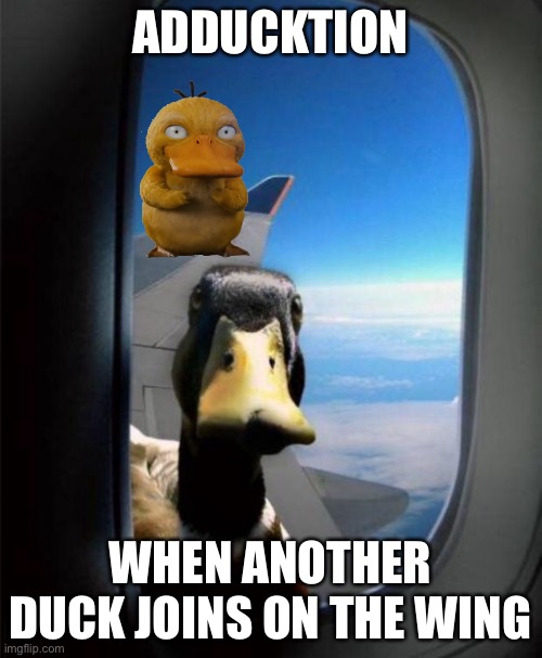 Adducktion | ADDUCKTION; WHEN ANOTHER DUCK JOINS ON THE WING | image tagged in duck on plane wing,add,math,bad pun,bad pun duck | made w/ Imgflip meme maker