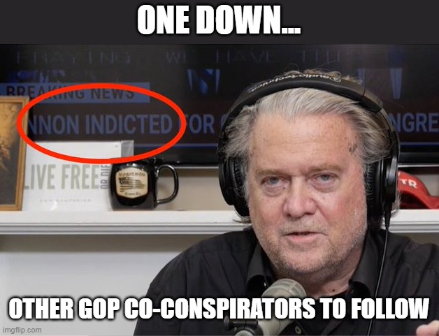 Trump & his Big Lie / Insurrection co-conspiracists proving they've got lots to hide | ONE DOWN... OTHER GOP CO-CONSPIRATORS TO FOLLOW | image tagged in steve bannon,the big lie,insurrection,gop fraud,trump sycophant,election 2020 | made w/ Imgflip meme maker