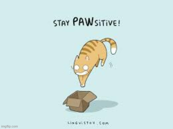 A Cat's Way Of Thinking | image tagged in memes,comics,cats,good vibes,paw,stay positive | made w/ Imgflip meme maker