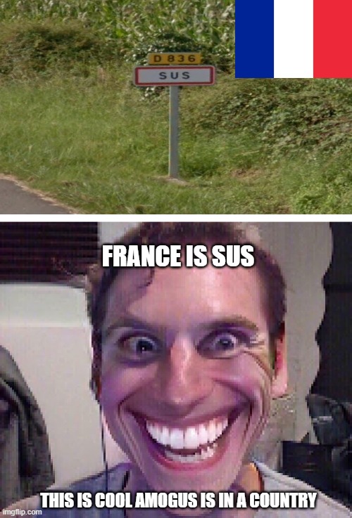 when france is sus | FRANCE IS SUS; THIS IS COOL AMOGUS IS IN A COUNTRY | image tagged in sus france,sus,je-sus,e,rush e | made w/ Imgflip meme maker
