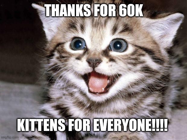 Thanks everyone (◕ᴗ◕✿) | THANKS FOR 60K; KITTENS FOR EVERYONE!!!! | image tagged in uber cute cat | made w/ Imgflip meme maker