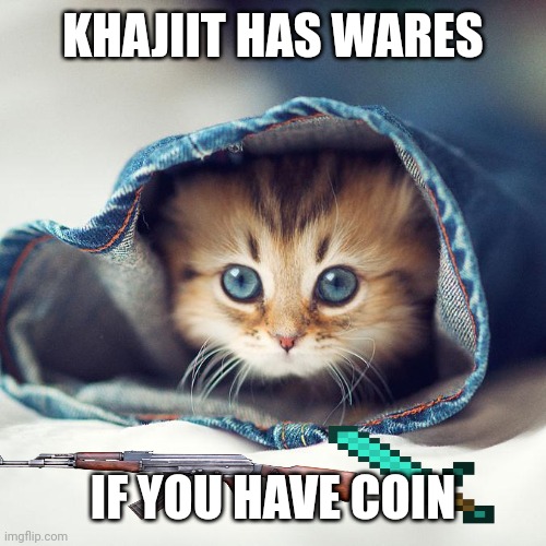 Cute cat | KHAJIIT HAS WARES; IF YOU HAVE COIN | image tagged in cute cat | made w/ Imgflip meme maker