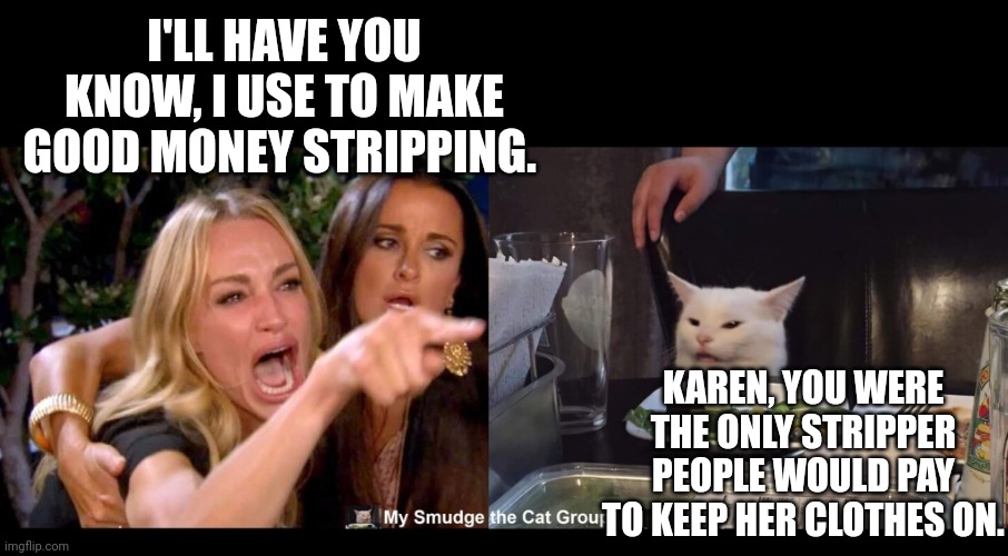 I'LL HAVE YOU KNOW, I USE TO MAKE GOOD MONEY STRIPPING. KAREN, YOU WERE THE ONLY STRIPPER PEOPLE WOULD PAY TO KEEP HER CLOTHES ON. | image tagged in smudge the cat | made w/ Imgflip meme maker