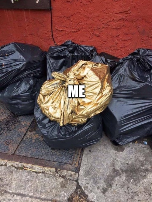 Golden Trash Bag | ME | image tagged in golden trash bag | made w/ Imgflip meme maker
