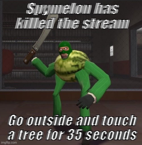 Spymelon | Spymelon has killed the stream; Go outside and touch a tree for 35 seconds | image tagged in spymelon | made w/ Imgflip meme maker