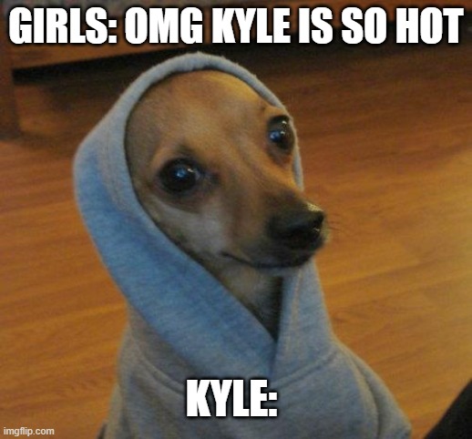 Relatable in your life? | GIRLS: OMG KYLE IS SO HOT; KYLE: | image tagged in relatable,kyle,dog | made w/ Imgflip meme maker