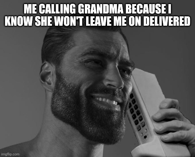 Gigachad Phone | ME CALLING GRANDMA BECAUSE I KNOW SHE WON'T LEAVE ME ON DELIVERED | image tagged in gigachad phone | made w/ Imgflip meme maker