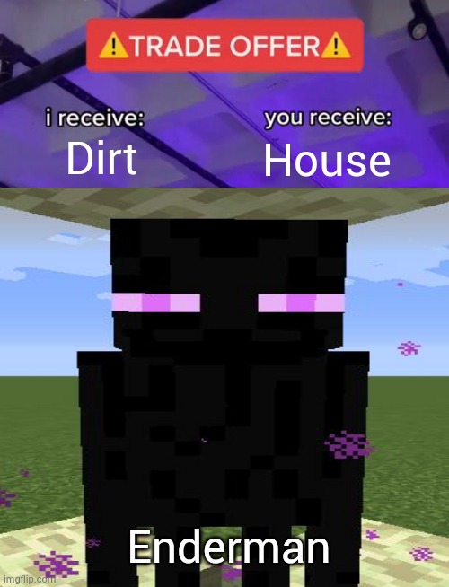 Ender man |  Dirt; House; Enderman | image tagged in funny | made w/ Imgflip meme maker
