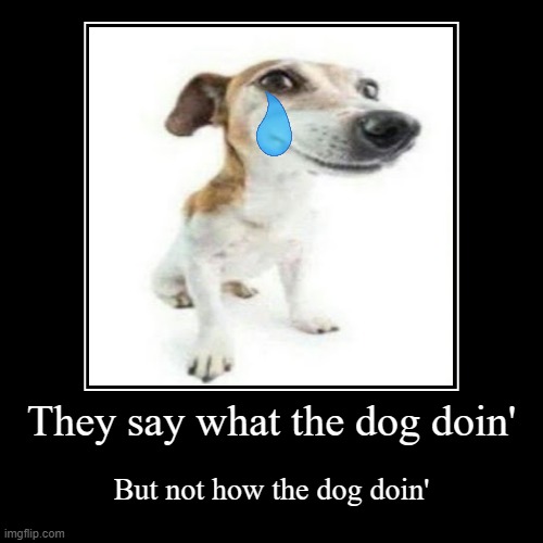image tagged in funny,demotivationals | made w/ Imgflip demotivational maker