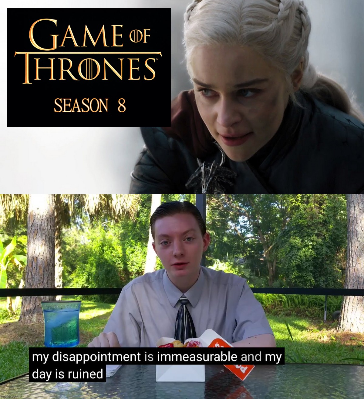 It's been said. Many times many ways... | SEASON 8 | image tagged in dany king's landing,my disappointment is immeasurable,game of thrones,season 8,danaerys,memes | made w/ Imgflip meme maker