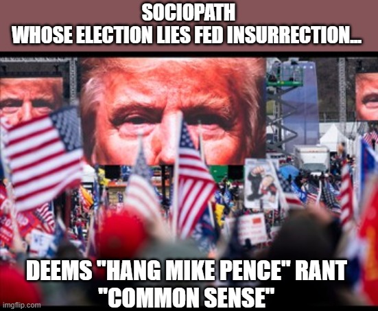 Trump's version of 'common sense' is his cult seeking to destroy detractors | SOCIOPATH
WHOSE ELECTION LIES FED INSURRECTION... DEEMS "HANG MIKE PENCE" RANT 
"COMMON SENSE" | image tagged in trump,election 2020,mike pence,gop corruption,insurrection,the big lie | made w/ Imgflip meme maker