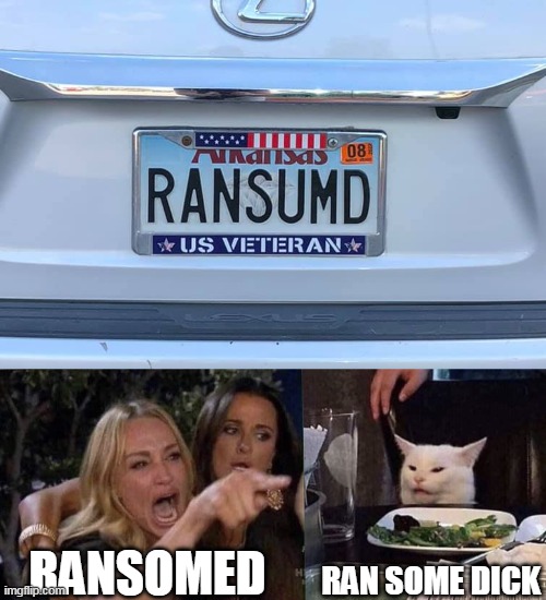 Not a Good Guy, Huh? | RANSOMED; RAN SOME DICK | image tagged in woman yelling at cat,meme,memes,humor,license plate | made w/ Imgflip meme maker