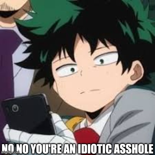 Deku dissapointed | NO NO YOU'RE AN IDIOTIC ASSHOLE | image tagged in deku dissapointed | made w/ Imgflip meme maker