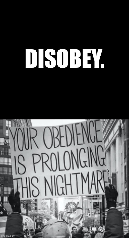 Now. While you still can… | DISOBEY. | image tagged in disobey,Conservative | made w/ Imgflip meme maker