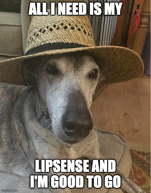 All I Need Is. My Lipsense and I'm good to go | ALL I NEED IS MY; LIPSENSE AND I'M GOOD TO GO | image tagged in lipsensse,silly galgo,jensson,glamgirl | made w/ Imgflip meme maker