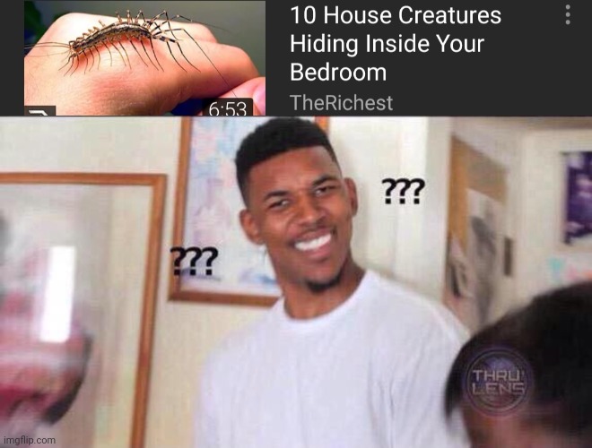 "10 House creatures hiding inside your bedroom" | image tagged in black guy confused,insects,bugs,bruh moment,bedroom | made w/ Imgflip meme maker