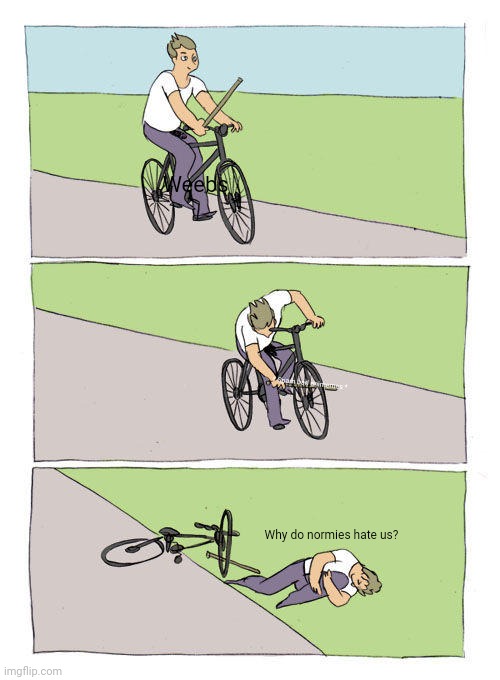Bike Fall Meme | Weebs; * Spam bad animemes *; Why do normies hate us? | image tagged in memes,bike fall,no anime allowed | made w/ Imgflip meme maker