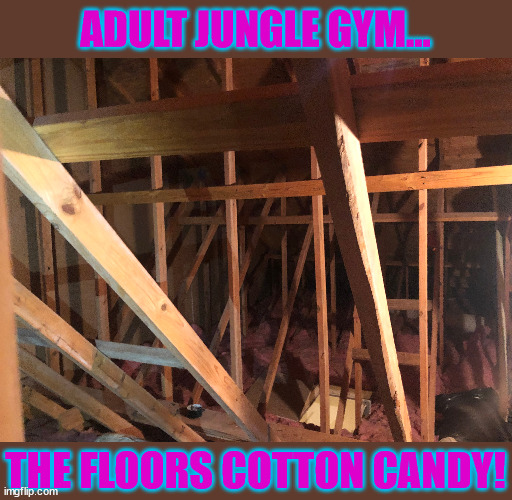 adult jungle gym | ADULT JUNGLE GYM... THE FLOORS COTTON CANDY! | image tagged in funny,insulation,roof,hvac,home inspector | made w/ Imgflip meme maker