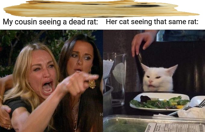 Woman Yelling At Cat | My cousin seeing a dead rat:; Her cat seeing that same rat: | image tagged in memes,woman yelling at cat,kittens | made w/ Imgflip meme maker