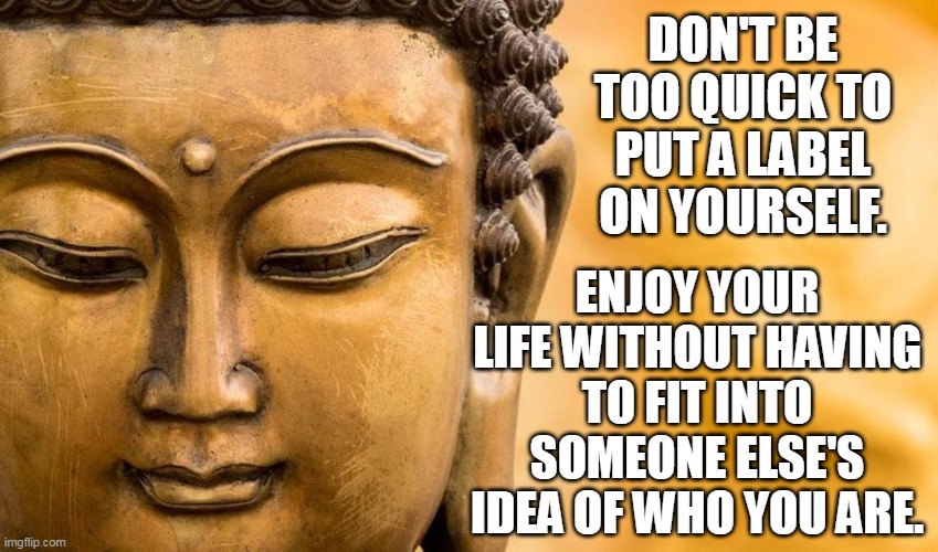 DON'T BE TOO QUICK TO PUT A LABEL ON YOURSELF. ENJOY YOUR LIFE WITHOUT HAVING TO FIT INTO SOMEONE ELSE'S IDEA OF WHO YOU ARE. | made w/ Imgflip meme maker