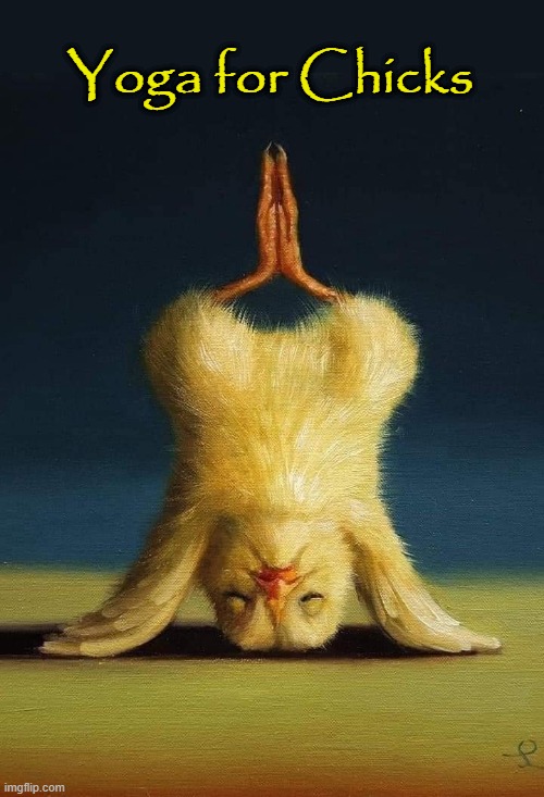 Yoga | Yoga for Chicks | image tagged in hot chicks | made w/ Imgflip meme maker
