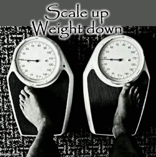 Reduce Weight | Scale up
Weight down | image tagged in scales | made w/ Imgflip meme maker