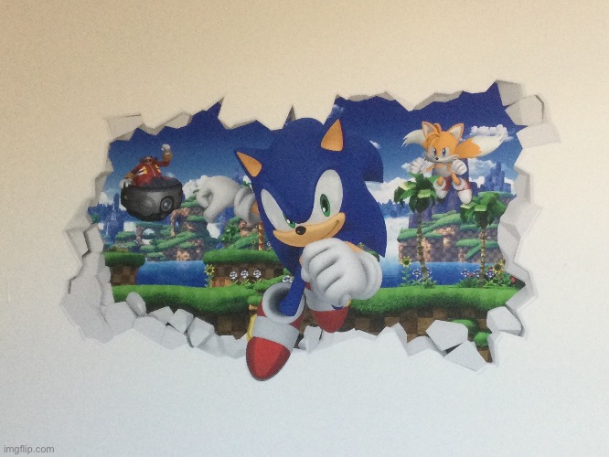 SONIC WHY?! | image tagged in sonic the hedgehog | made w/ Imgflip meme maker