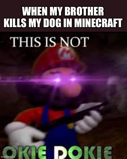 This is not okie dokie | WHEN MY BROTHER KILLS MY DOG IN MINECRAFT | image tagged in this is not okie dokie | made w/ Imgflip meme maker