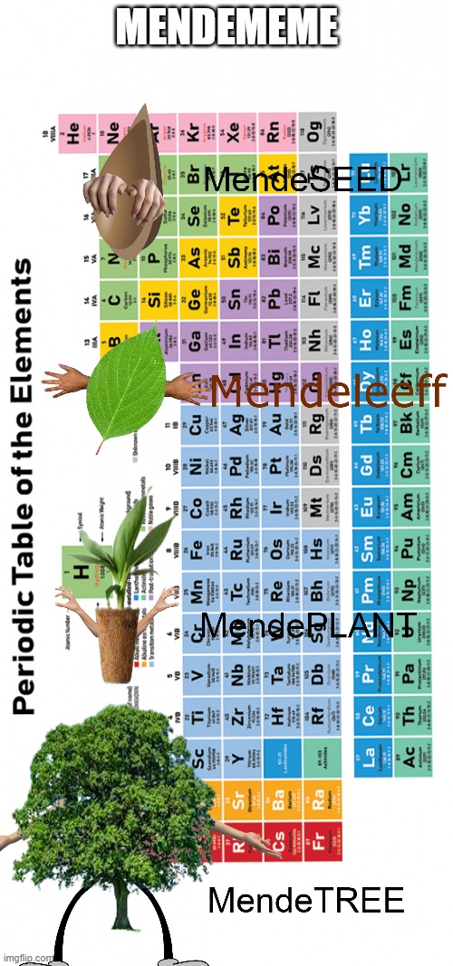 Mendememe | MENDEMEME | image tagged in mendeleeff,pokemon,evolution line,periodic table | made w/ Imgflip meme maker