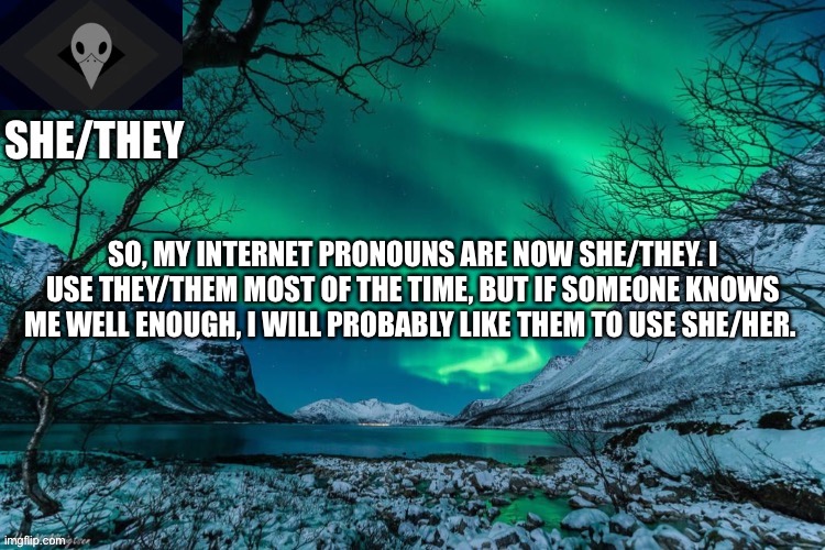 She/they | SO, MY INTERNET PRONOUNS ARE NOW SHE/THEY. I USE THEY/THEM MOST OF THE TIME, BUT IF SOMEONE KNOWS ME WELL ENOUGH, I WILL PROBABLY LIKE THEM TO USE SHE/HER. | image tagged in she/they | made w/ Imgflip meme maker