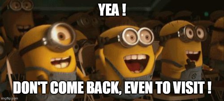 Cheering Minions | YEA ! DON'T COME BACK, EVEN TO VISIT ! | image tagged in cheering minions | made w/ Imgflip meme maker
