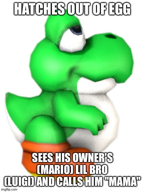 Baby Yosh | HATCHES OUT OF EGG; SEES HIS OWNER'S (MARIO) LIL BRO (LUIGI) AND CALLS HIM "MAMA" | image tagged in yoshi | made w/ Imgflip meme maker