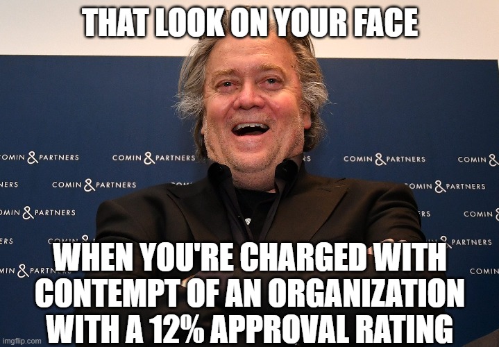 Steve Bannon holds Congress in contempt | THAT LOOK ON YOUR FACE; WHEN YOU'RE CHARGED WITH CONTEMPT OF AN ORGANIZATION WITH A 12% APPROVAL RATING | image tagged in steve bannon,congress | made w/ Imgflip meme maker