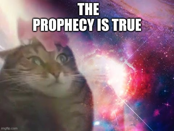 the prophecy is true cat | THE PROPHECY IS TRUE | image tagged in the prophecy is true cat | made w/ Imgflip meme maker