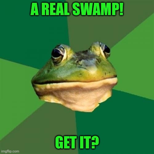 Foul Bachelor Frog Meme | A REAL SWAMP! GET IT? | image tagged in memes,foul bachelor frog | made w/ Imgflip meme maker