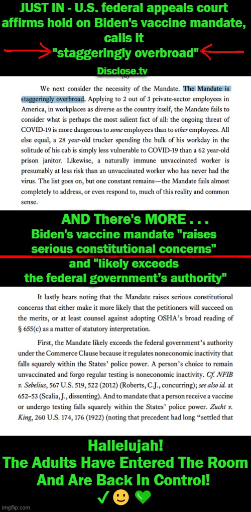 Common Sense Overriding Common Core . . . | JUST IN - U.S. federal appeals court 
affirms hold on Biden's vaccine mandate, 
calls it 
"staggeringly overbroad"; Disclose.tv; AND There's MORE . . . Biden's vaccine mandate "raises 
serious constitutional concerns" 
and "likely exceeds 
the federal government’s authority"; Hallelujah!
The Adults Have Entered The Room
And Are Back In Control! 
✔🙂💚 | image tagged in politics,conservatives vs liberals,the constitution,jab mandate,common sense,common core | made w/ Imgflip meme maker