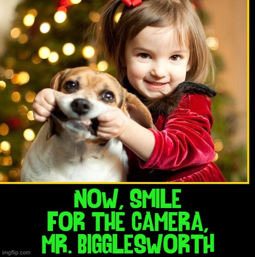 Say Cheese, Bigglesworth | NOW, SMILE FOR THE CAMERA, MR. BIGGLESWORTH | image tagged in vince vance,dogs,cute girl,funny animal memes,photography,say cheese | made w/ Imgflip meme maker