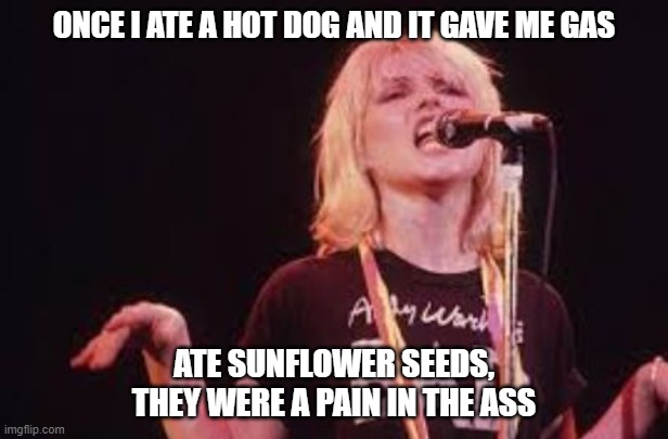 Blondie | ONCE I ATE A HOT DOG AND IT GAVE ME GAS; ATE SUNFLOWER SEEDS,
THEY WERE A PAIN IN THE ASS | image tagged in blondie | made w/ Imgflip meme maker