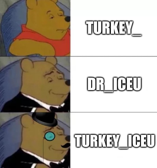I guess we could put it this way | TURKEY_; DR_ICEU; TURKEY_ICEU | image tagged in fancy pooh | made w/ Imgflip meme maker