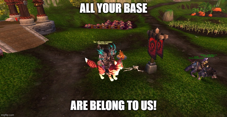 mount cat 4 | ALL YOUR BASE; ARE BELONG TO US! | image tagged in world of warcraft,lolcats,all your base | made w/ Imgflip meme maker