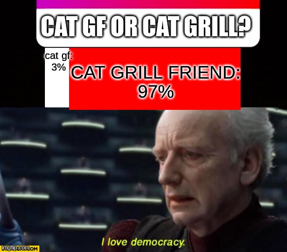 CAT GF OR CAT GRILL? cat gf:
3% CAT GRILL FRIEND:
97% | made w/ Imgflip meme maker