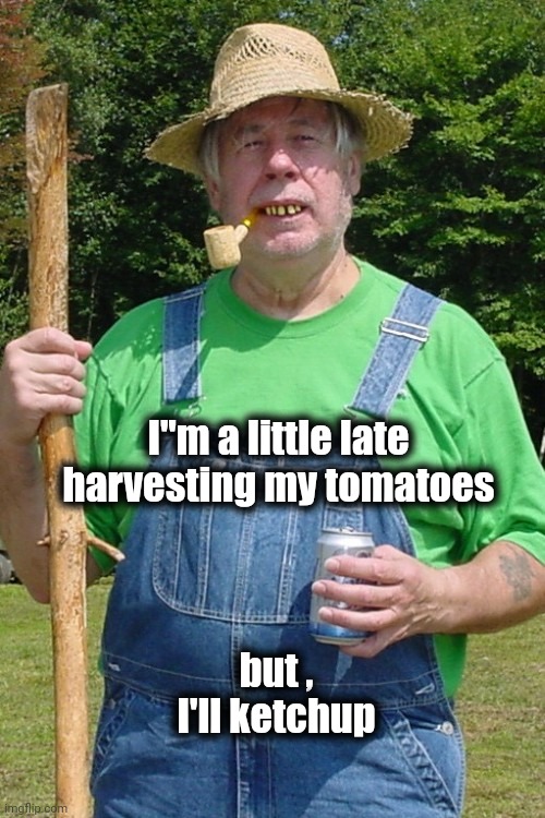 "It's like Tomato Wine" - Oscar Madison | I"m a little late harvesting my tomatoes; but , I'll ketchup | image tagged in redneck farmer,tomatoes,ketchup,catsup,you say | made w/ Imgflip meme maker