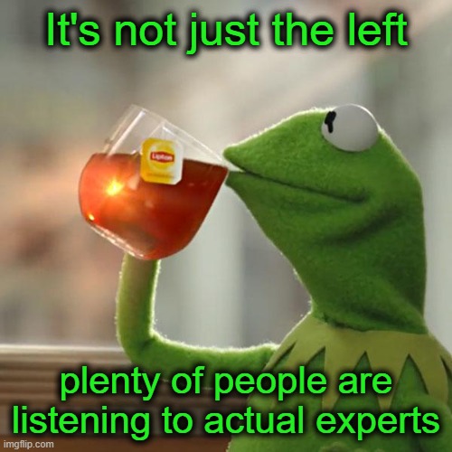 But That's None Of My Business Meme | It's not just the left plenty of people are listening to actual experts | image tagged in memes,but that's none of my business,kermit the frog | made w/ Imgflip meme maker