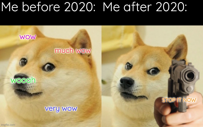 Doge at 2019 VS. Doge at 2021 |  Me before 2020:  Me after 2020:; wow; much wow; wooah; STOP IT NOW; very wow | image tagged in memes,doge,doge holding a gun | made w/ Imgflip meme maker