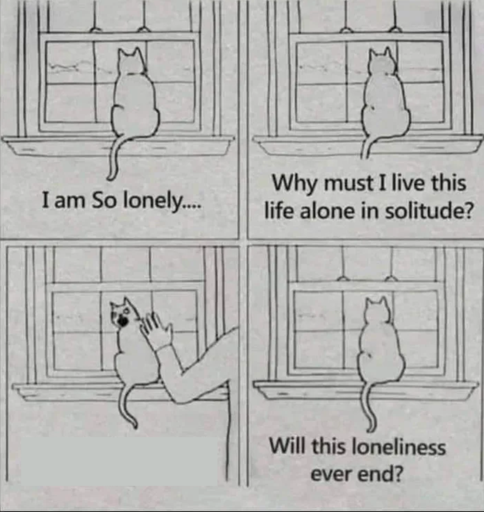 High Quality depressed cat looking at window Blank Meme Template