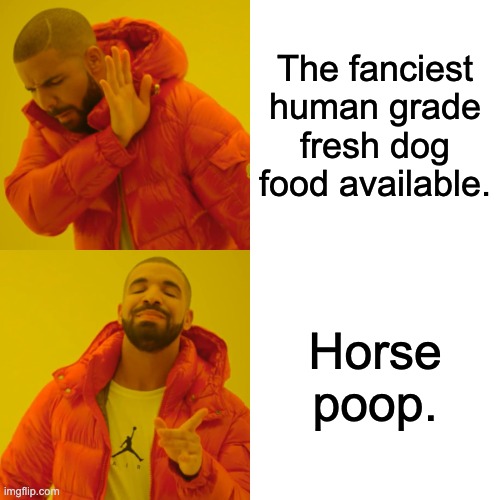 Drake Hotline Bling Meme | The fanciest human grade fresh dog food available. Horse poop. | image tagged in memes,drake hotline bling,AnatolianShepherdDogs | made w/ Imgflip meme maker