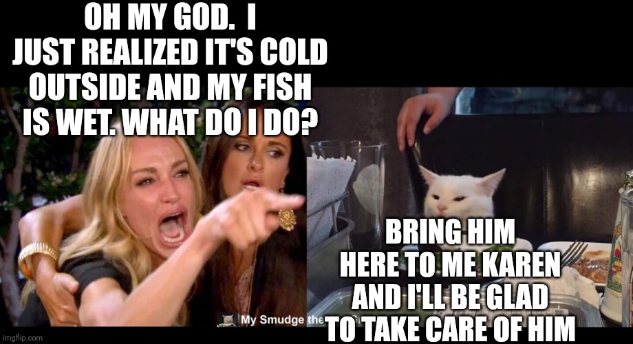 OH MY GOD.  I JUST REALIZED IT'S COLD OUTSIDE AND MY FISH IS WET. WHAT DO I DO? BRING HIM HERE TO ME KAREN AND I'LL BE GLAD TO TAKE CARE OF HIM | image tagged in smudge the cat | made w/ Imgflip meme maker