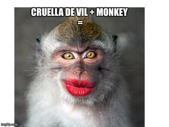 Can you see it? | CRUELLA DE VIL + MONKEY 
= | image tagged in funny,monkey | made w/ Imgflip meme maker